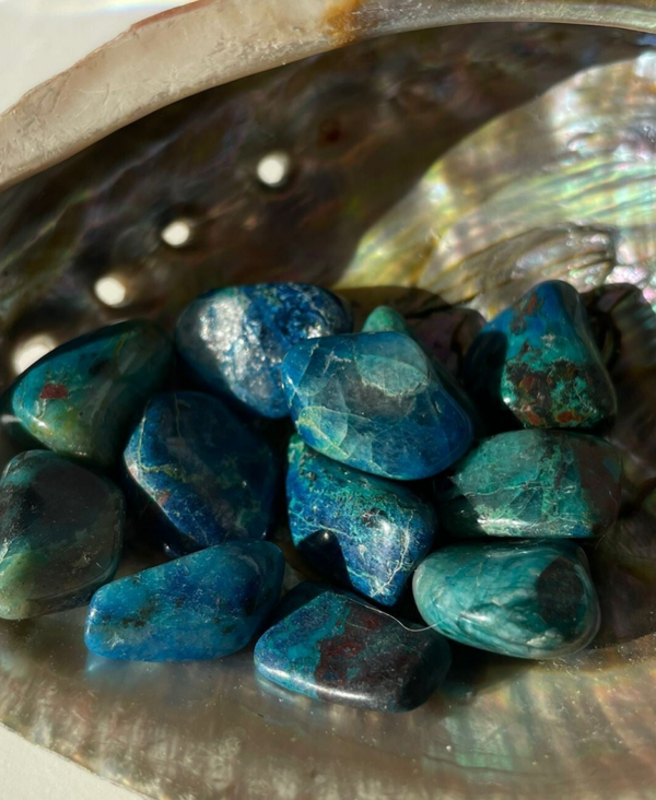 Quantem Quattro trommelsteen S-M