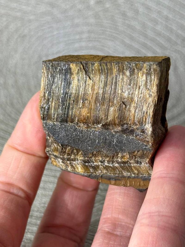 Tijgeroog Ruw - Nr 01