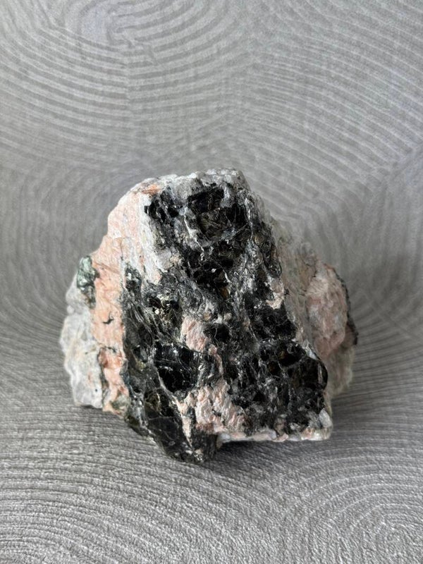 Biotiet op Moedergesteente - Nr 03