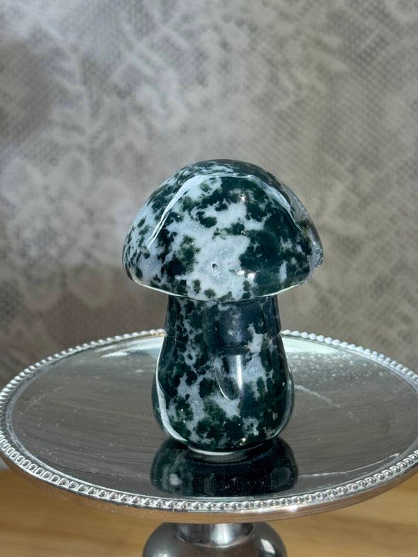 Mosagaat Paddenstoel - Nr 02