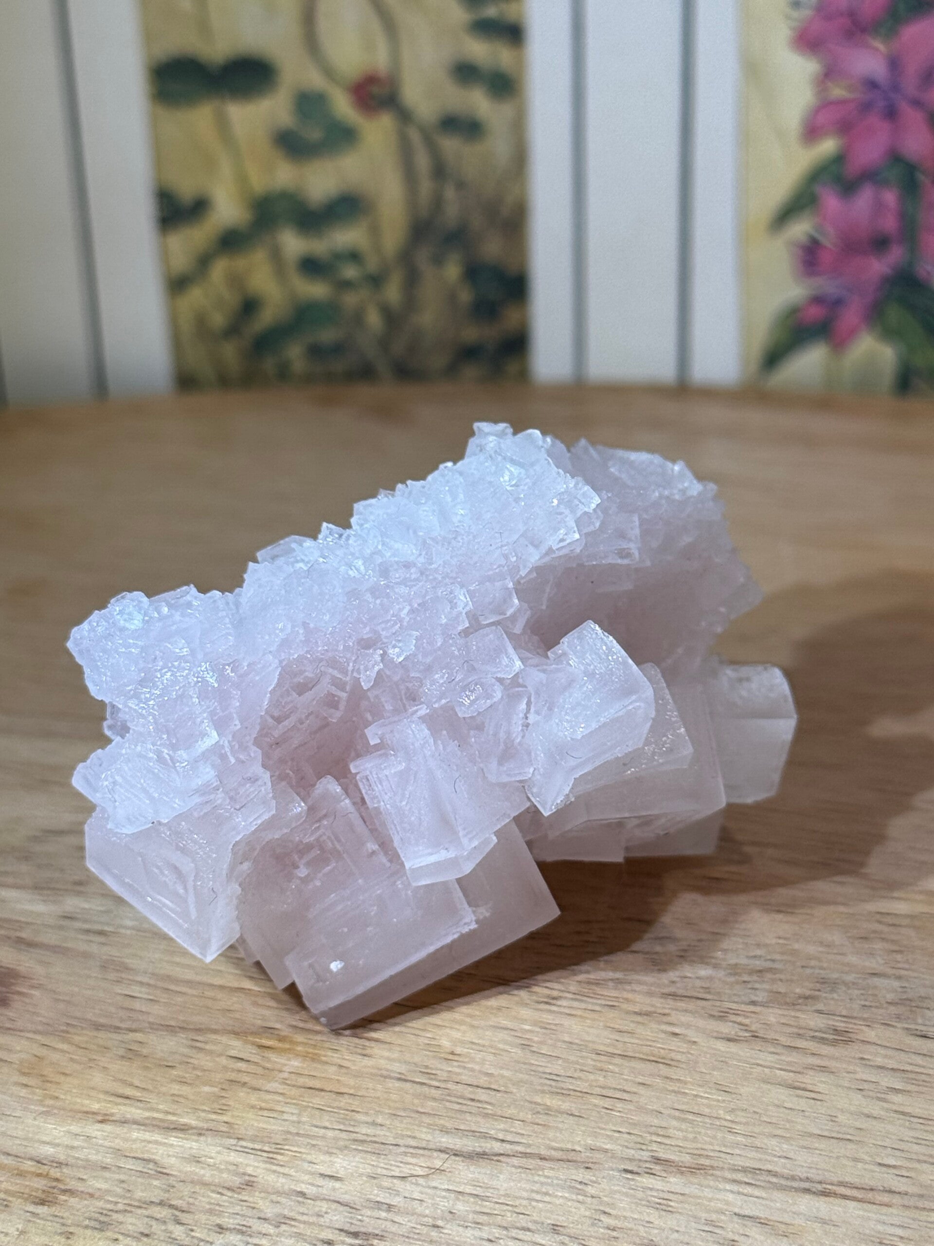 Haliet Cluster - Nr 02