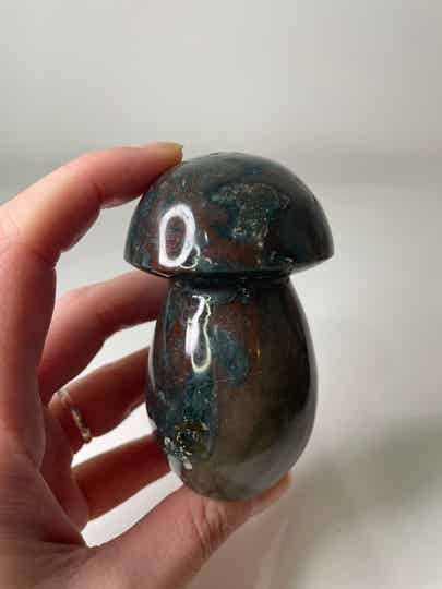 Oceaan Jaspis Paddenstoel - Nr 02