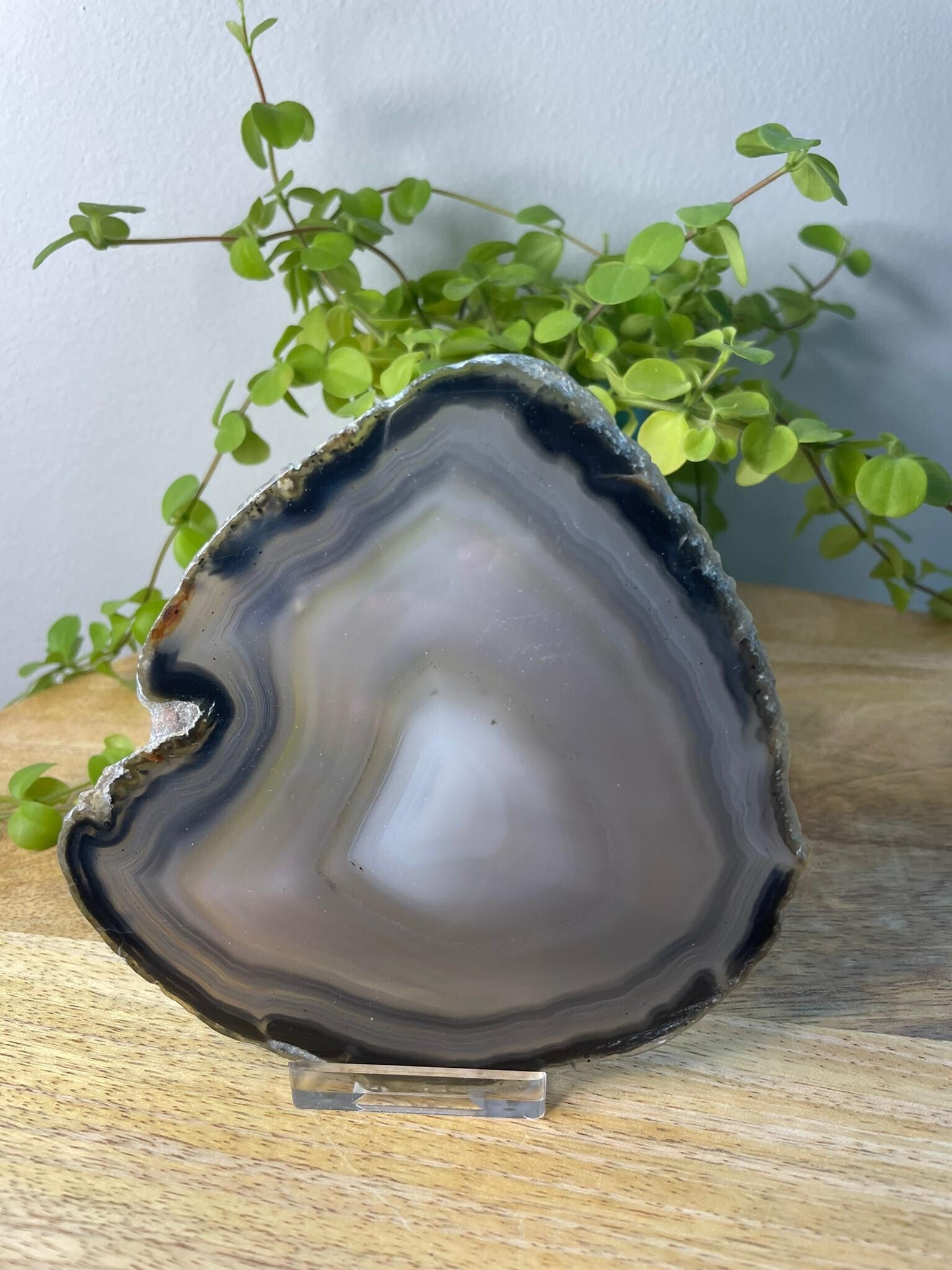 Agaat schijf (geschikt voor waxinelichthouder) - Nr 11