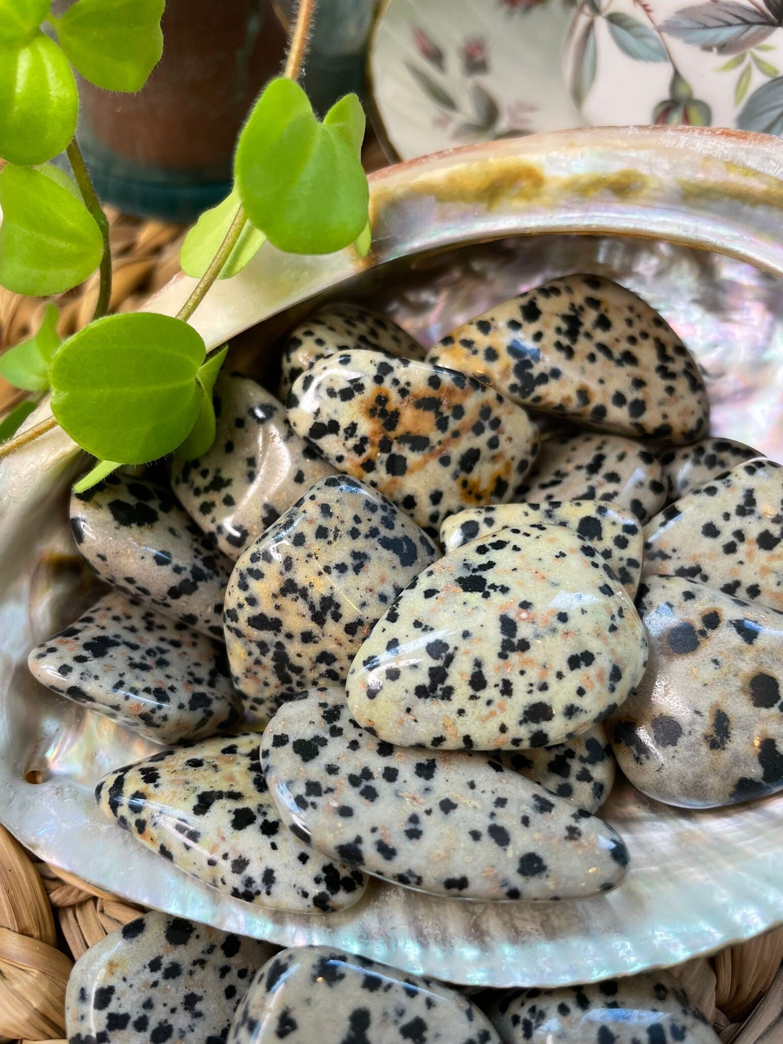 Dalmatisch Jaspis Trommelsteen M