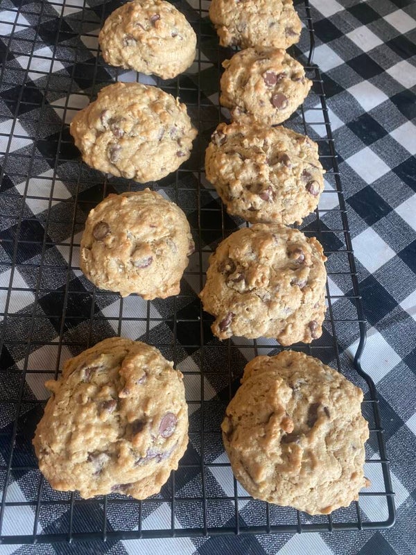 Sourdough Oatmeal Chocolate Chip Cookies