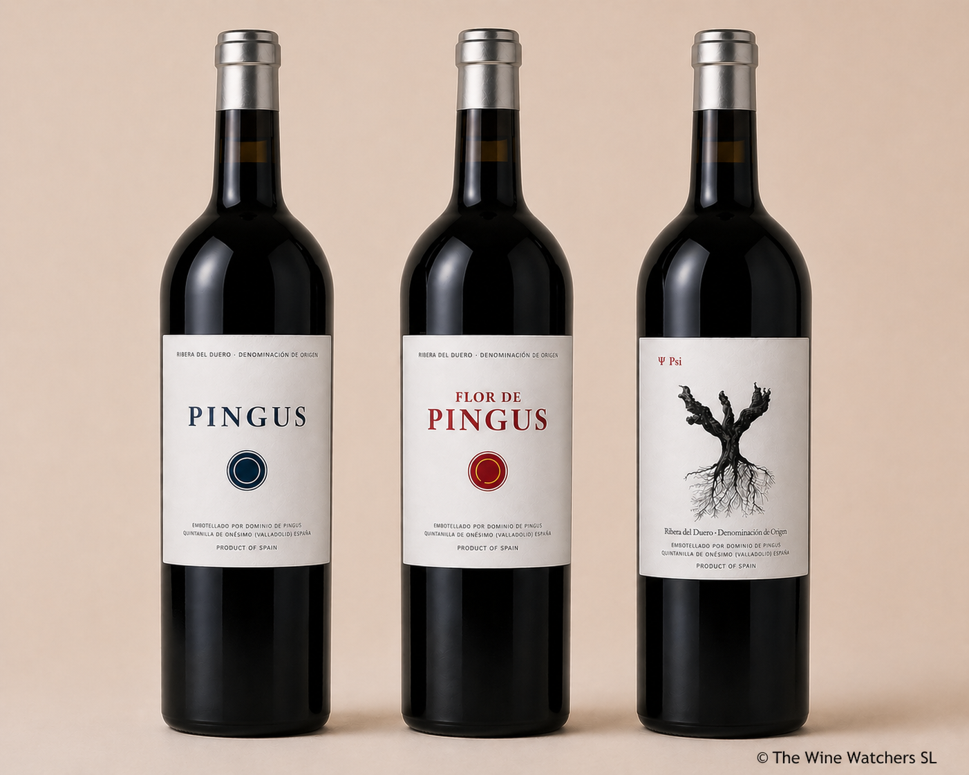 Trio Vins du Dominio de Pingus