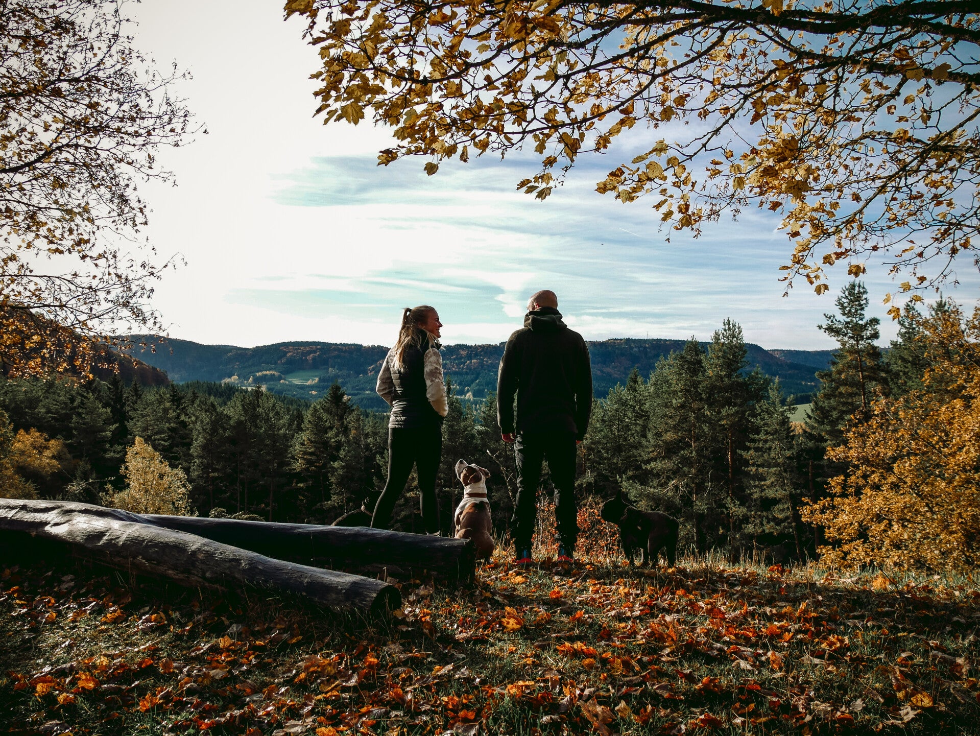 CanisTrust: Hundeschule in Geislingen b. Balingen