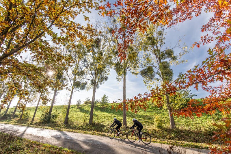 Herfst in Limburg. Langs het Julianakanaal aan de weg tussen Elsloo en Geulle. 19-10-2022