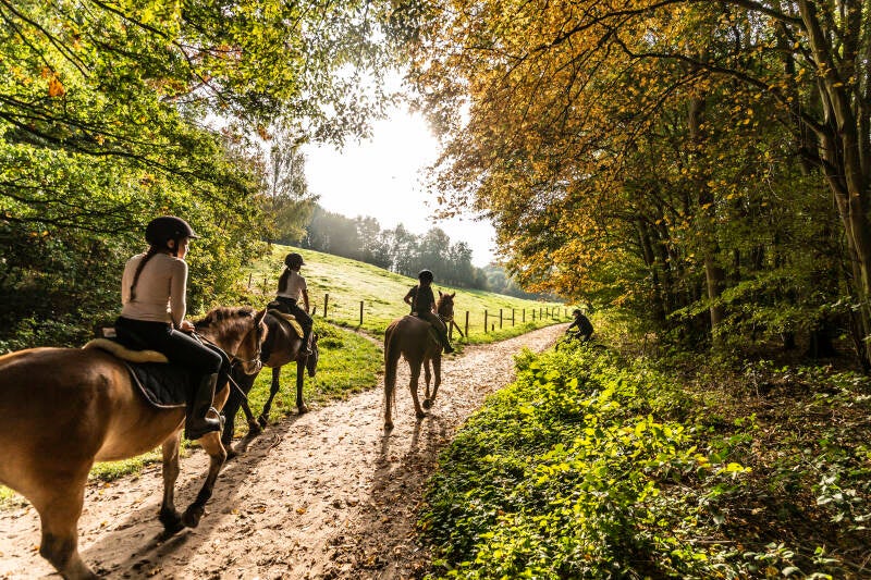 Meisjes te paard in het Danikerbos aan het Geleenbeekdal. 19-10-2022