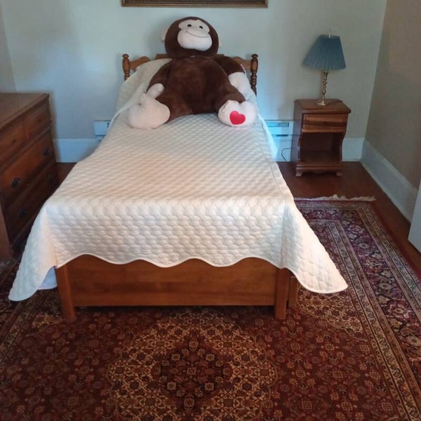 2 BEDS IN ONE-SOLID WOOD TRUNDLE BED