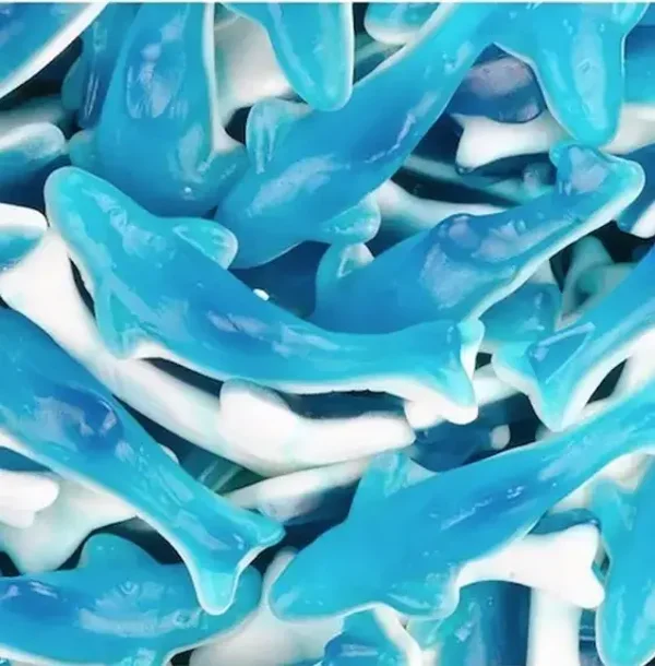 Requin Bleu 100g