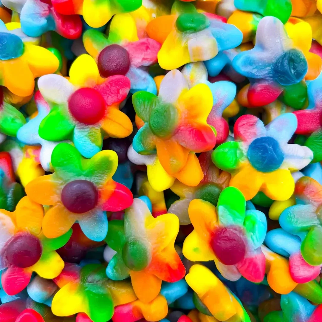 Fleurs Multicolore 100g