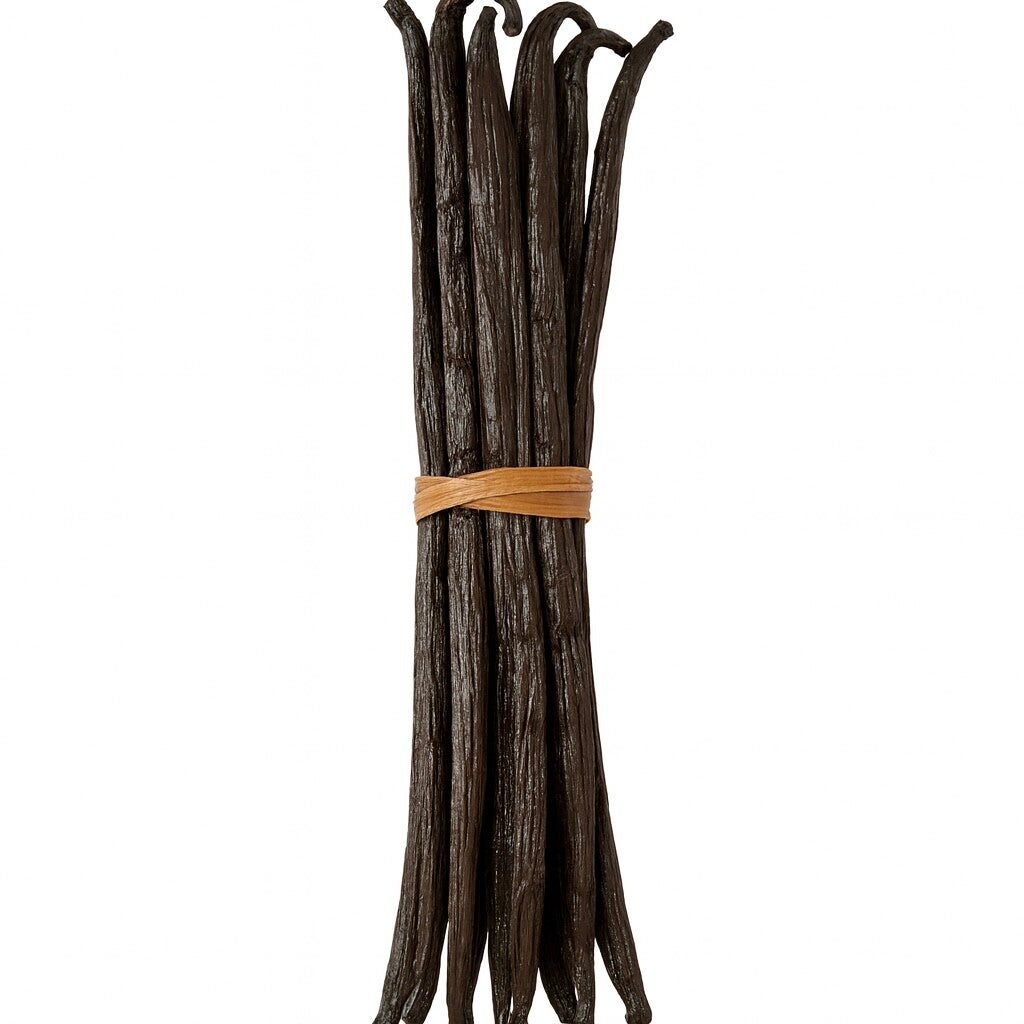 Vanille du Mexique - Pampona