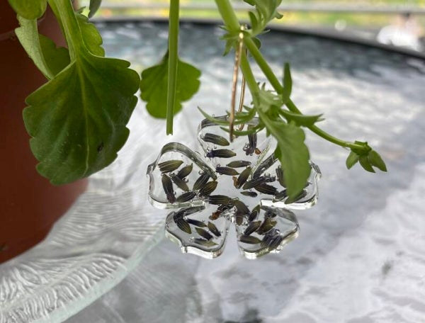 Laventeli korvakorut💜