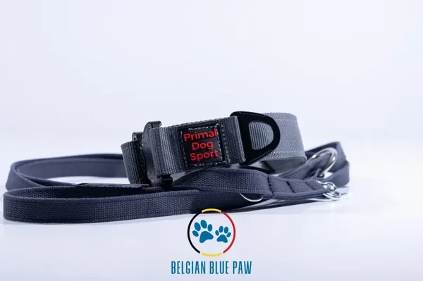 PRO K9 combi set Werkhalsband en politielijn + gratis multifunctionele munt