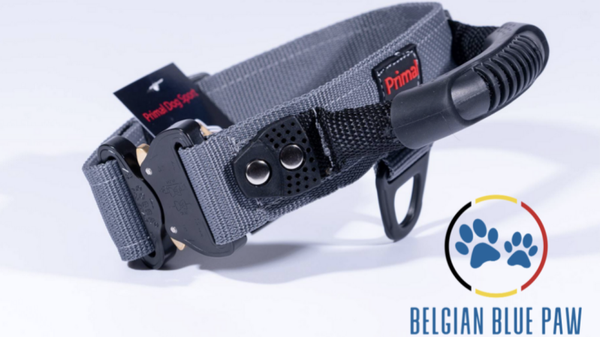 PRO K9 Werkhalsband met handvat en Cobra sluiting (grijs)