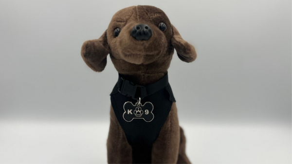 Police dog - Ivar