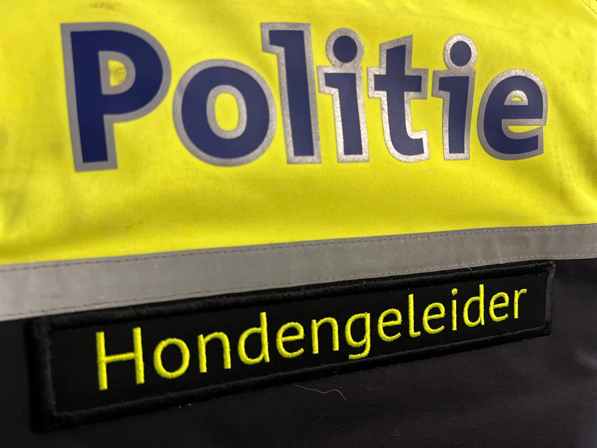 Patch Hondengeleider