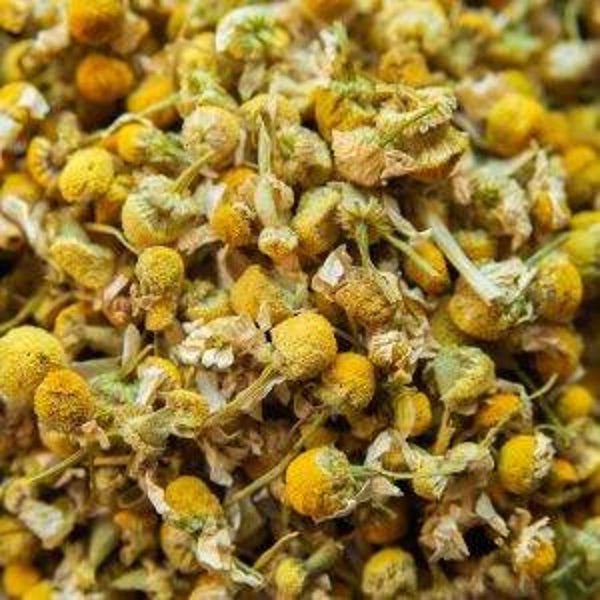 Fiori di camomilla Bio