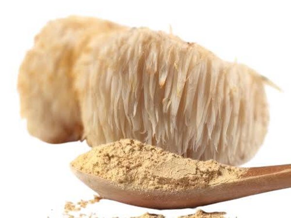 Lion's mane Bio in polvere