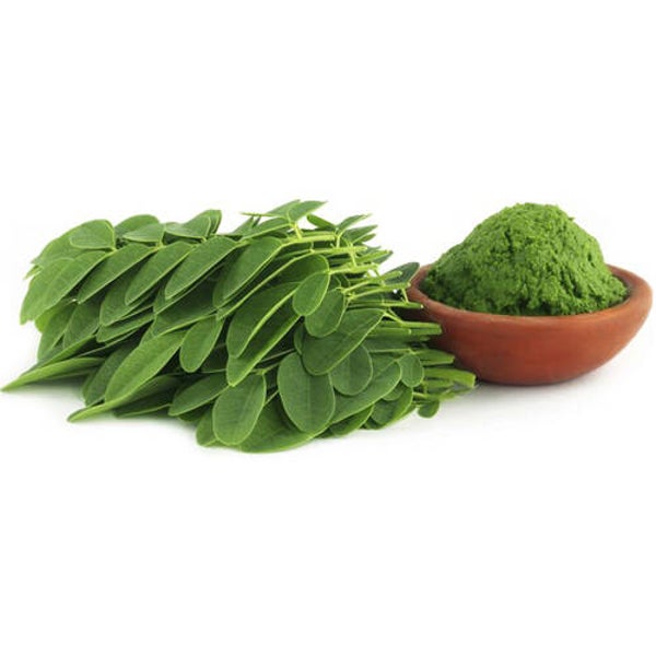 Moringa Bio in polvere