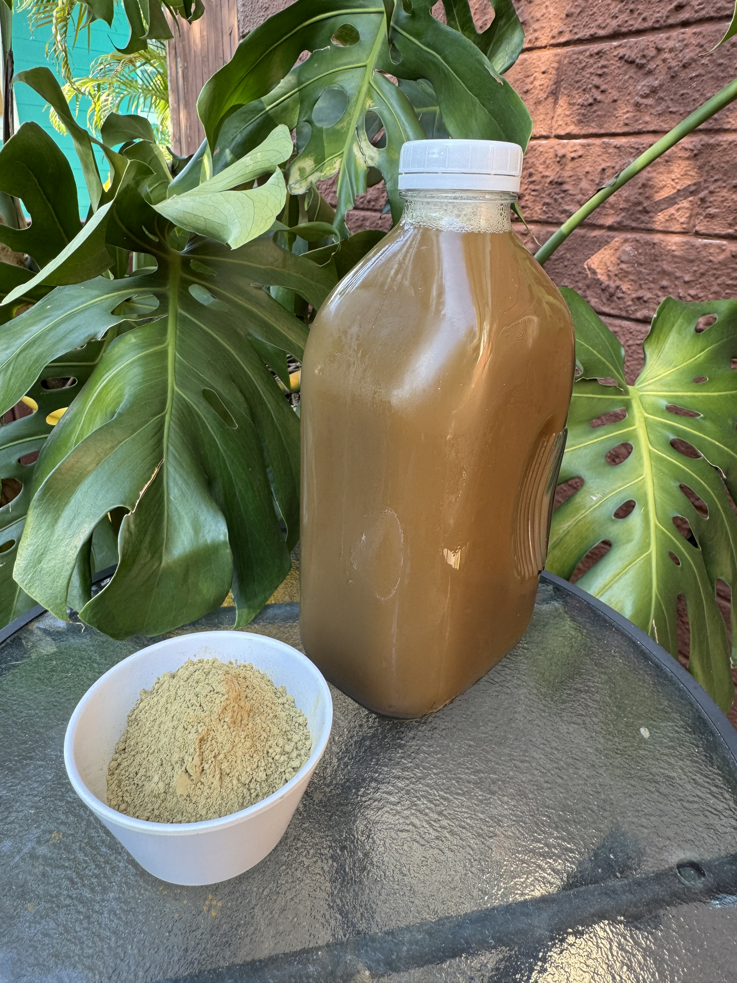 1 Gallon Green Botanical Tea