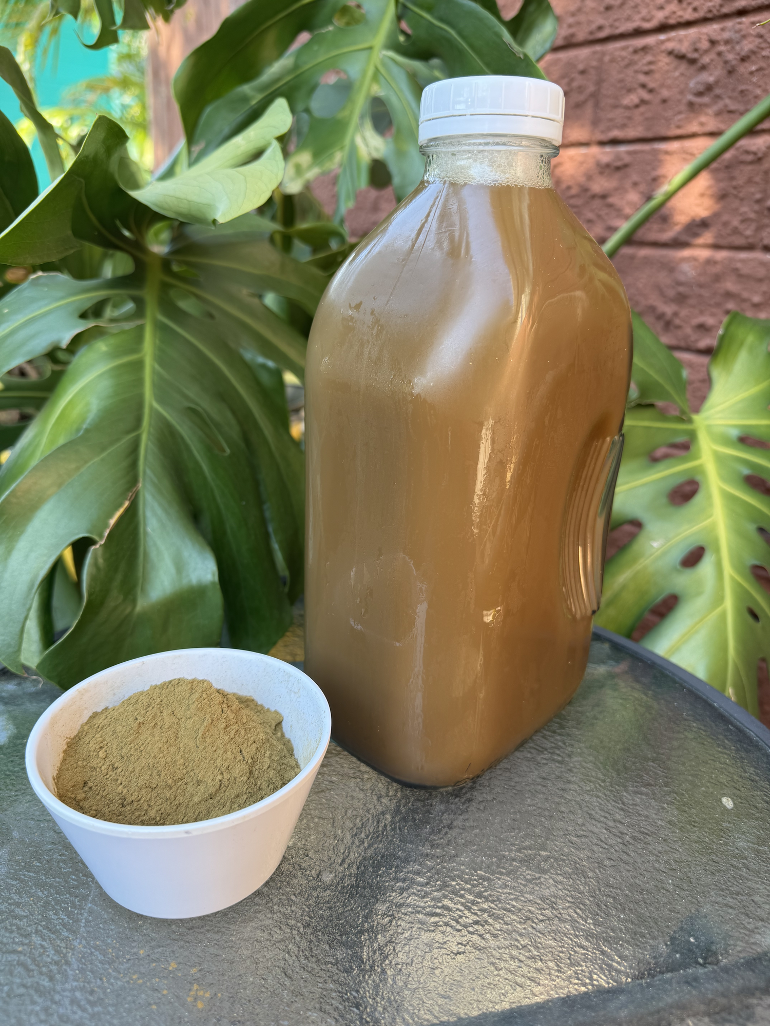 1/2 Gallon Green Botanical Tea