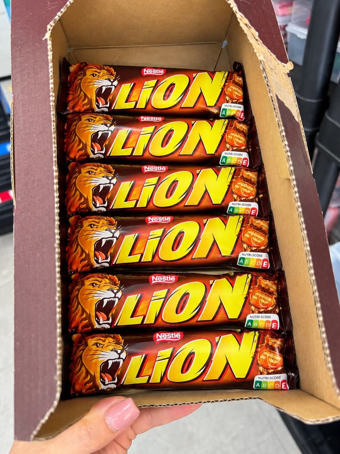 Lion