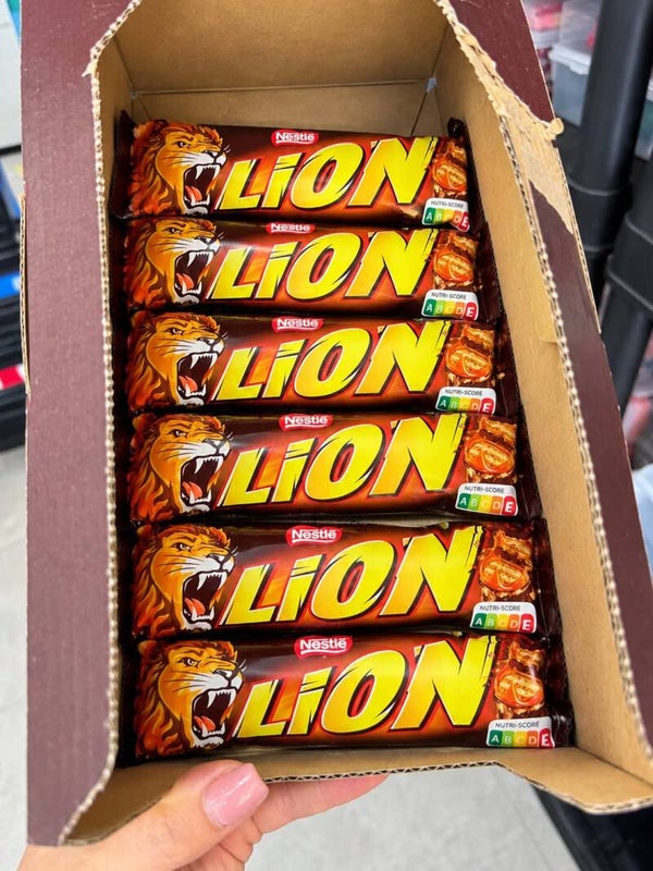 Lion