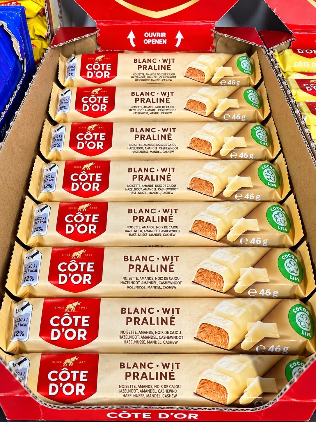 Barre côte d'or Blanc praliné