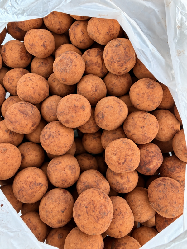 Pomme de terre de Massepain