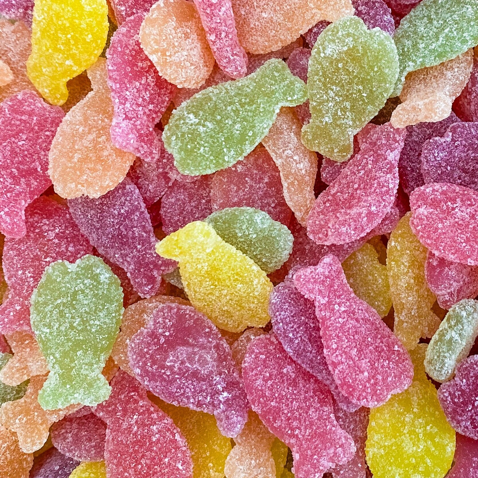 Poissons
