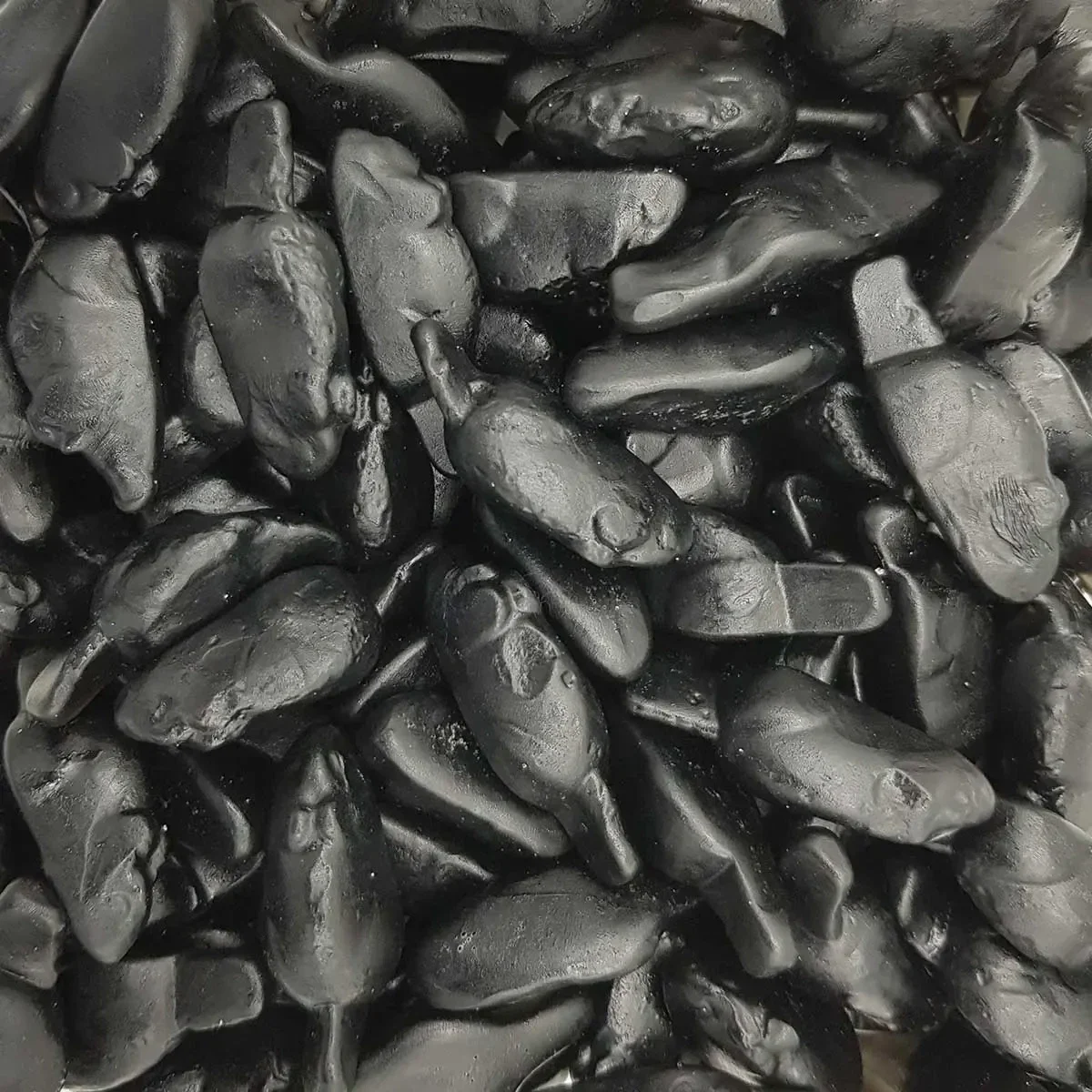 Souris Noire