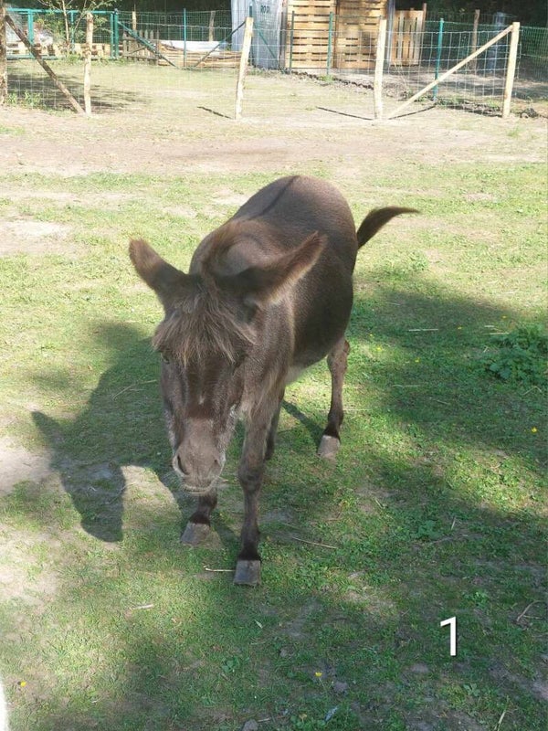 Tassen met logo en foto