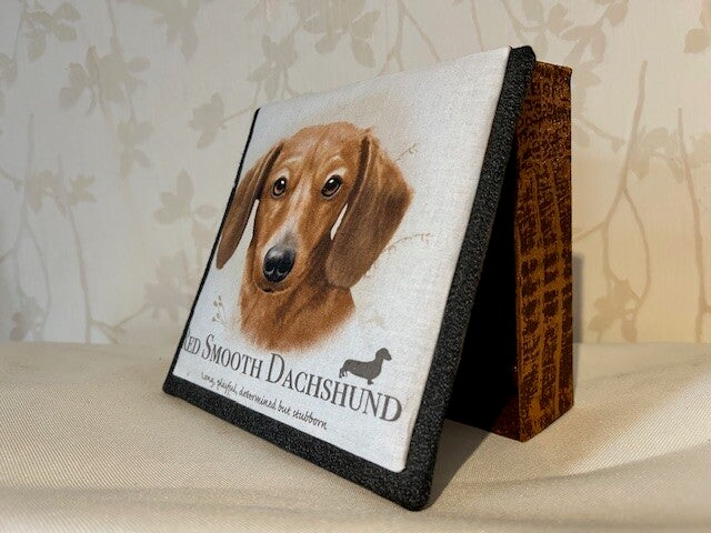 Doosje :  Teckel gladhaar