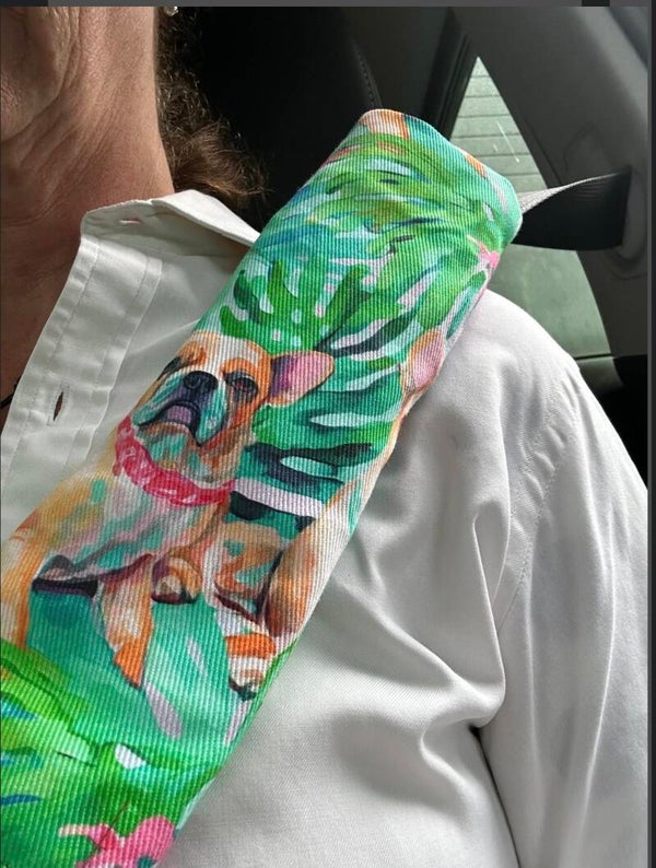 Auto gordelhoes : Franse Bulldog