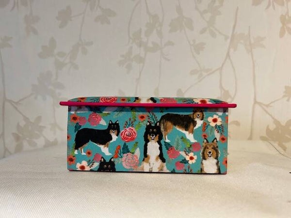 Doosje :   Schotse Collie