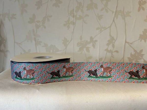DIY Lint per meter : Italiaanse Windhond spelen