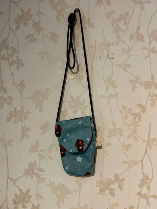 Telefoontasje :  Ierse setter en sterren