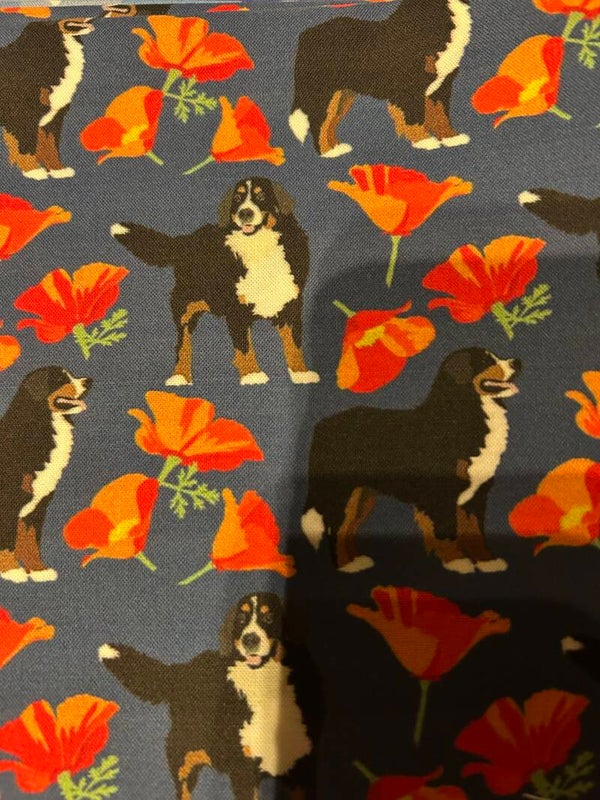 Ovenhandschoenen : Berner Senner Hond