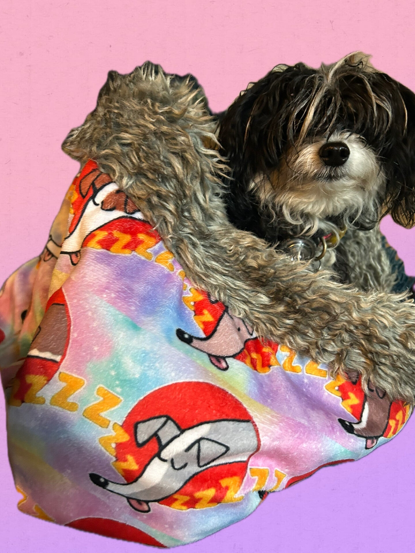 Hondenslaapzak : windhond, whippet voor klein hondje