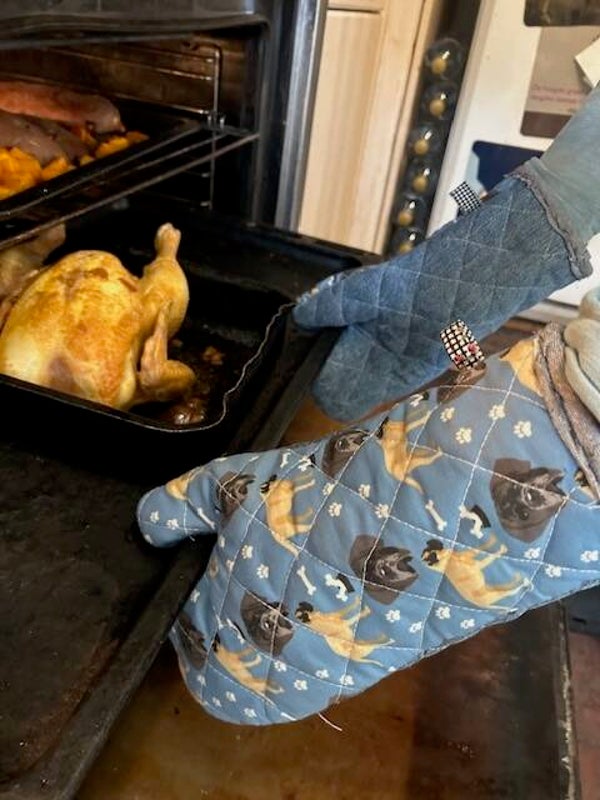 Ovenhandschoenen : Cane Corso