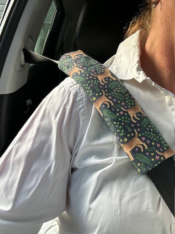 Auto gordelhoes : Border terrier