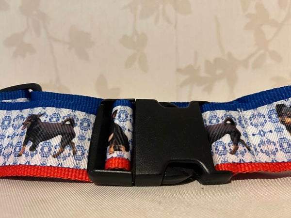Kofferiem : Lancashire Heeler delfts blauw