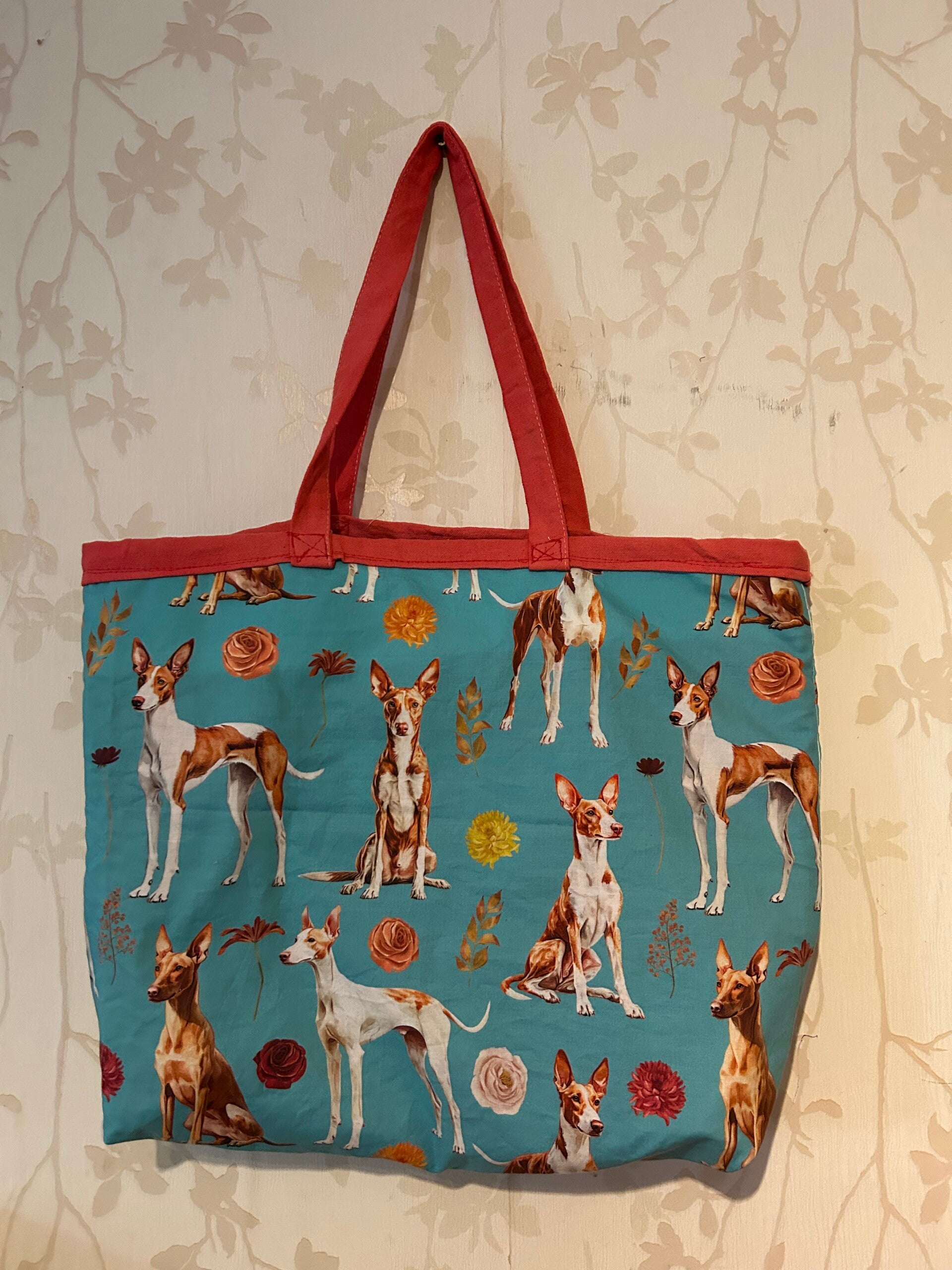Boodschappentas : Podenco turqouis
