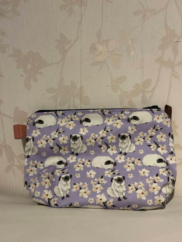 Etui : Cavia op lila