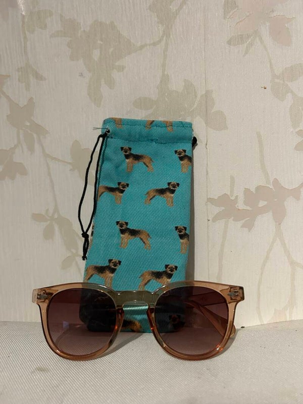 Brillenhoesje : Border terrier turquois