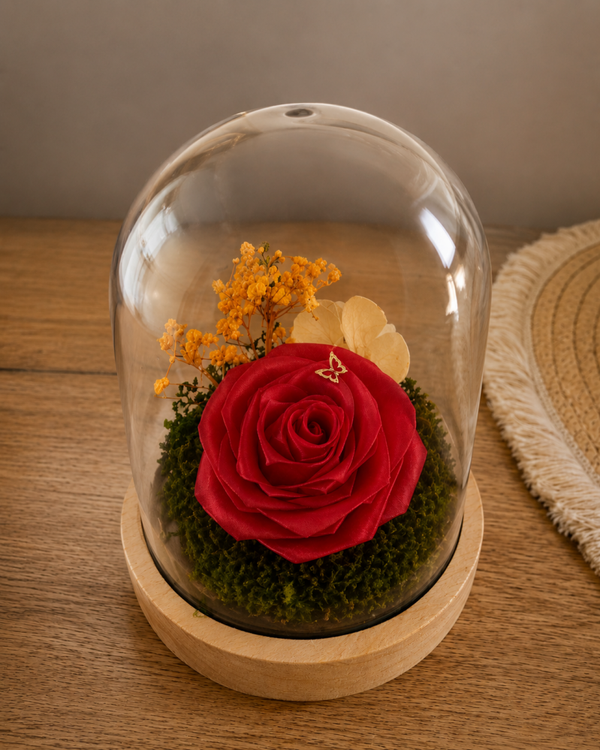 Cloche Papillon d'amour