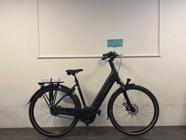 Batavus