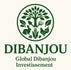 GLOBAL DIBANJOU INVESTISSEMENT